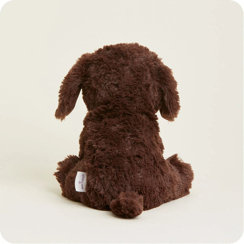 Chocolate Labrador Warmies
